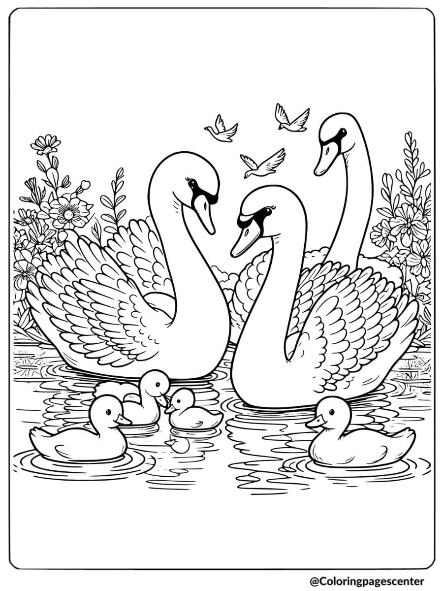 Swan Family Swimming With Ducklings Coloring Page