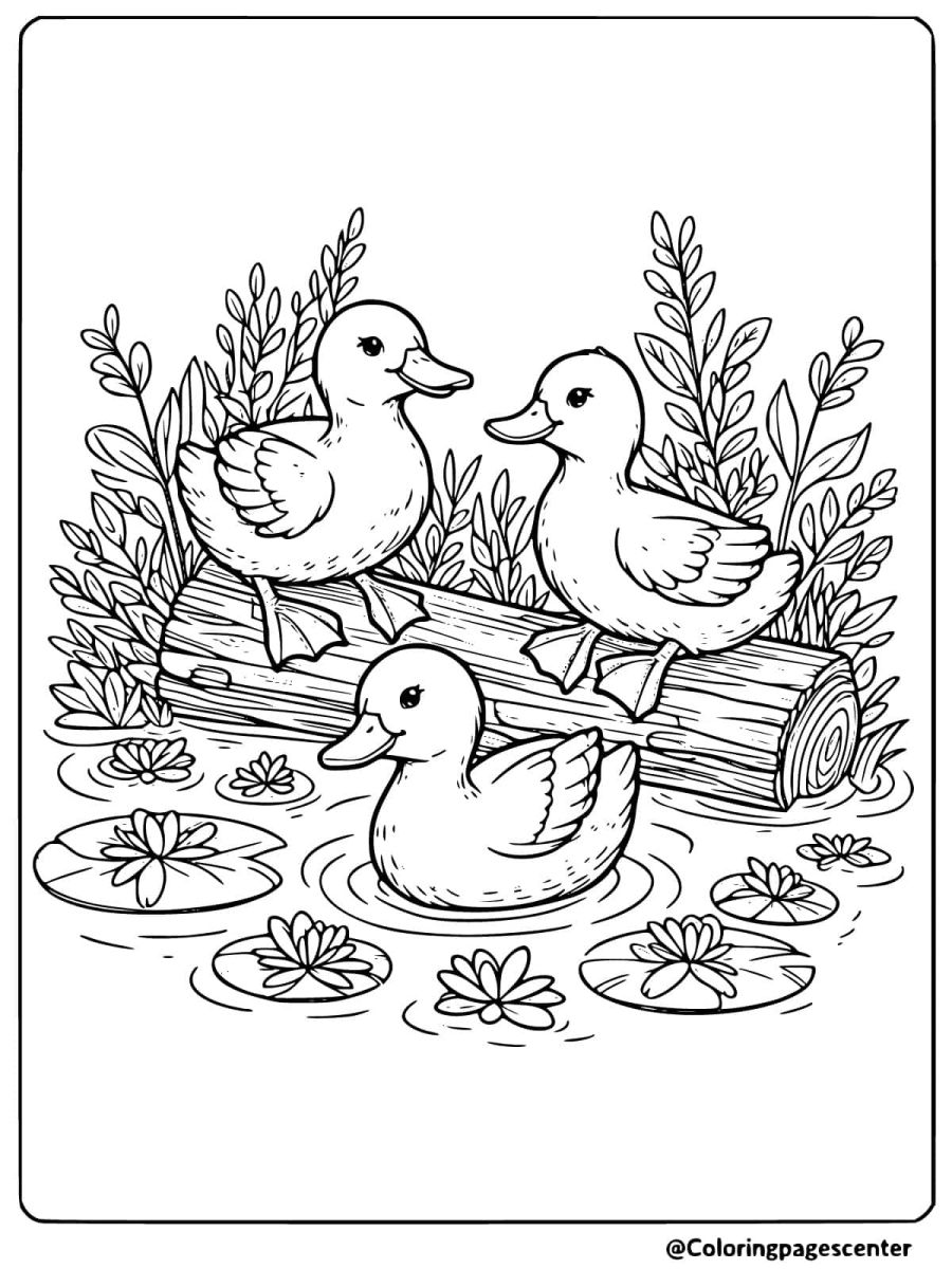 Three ducks sitting on a log over water coloring page