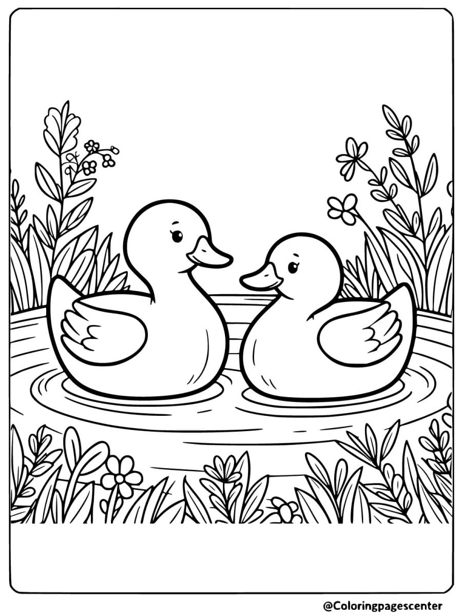 Ducks floating in a small pond surrounded by plants coloring page