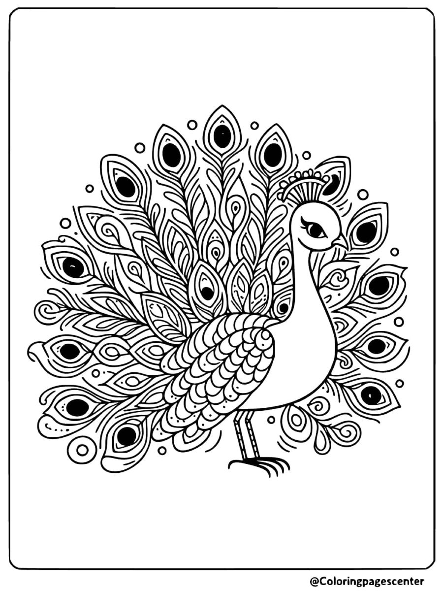 Easy peacock showing full tail coloring page