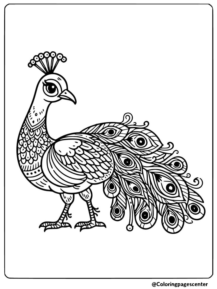 Easy peacock gracefully standing coloring page