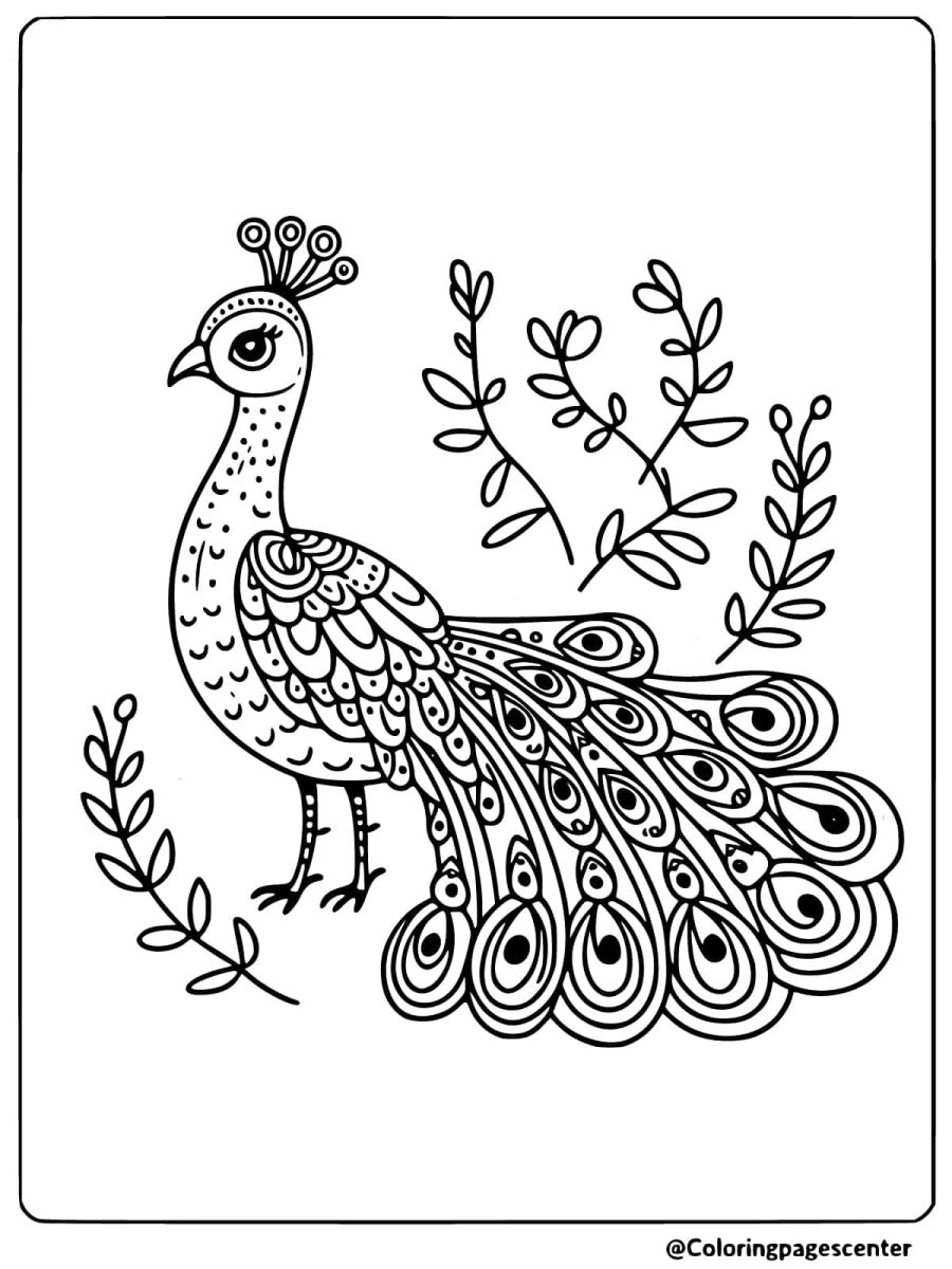 Easy peacock with beautiful feathers coloring page