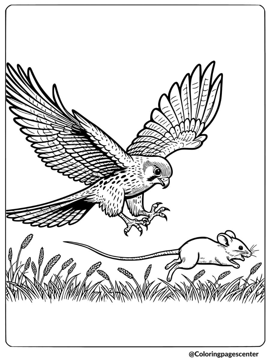 A falcon chasing a mouse in a field coloring page