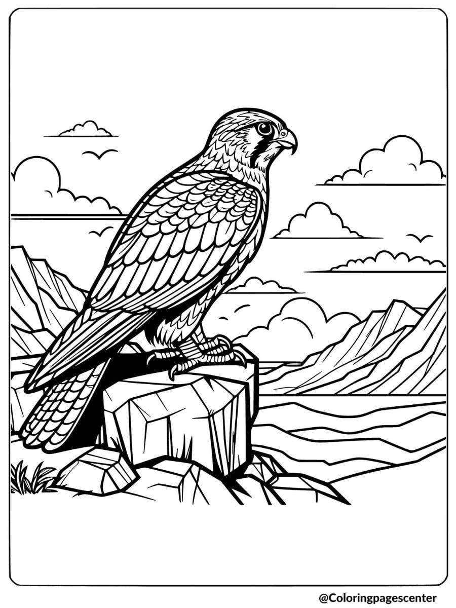 A falcon standing on a rock coloring page