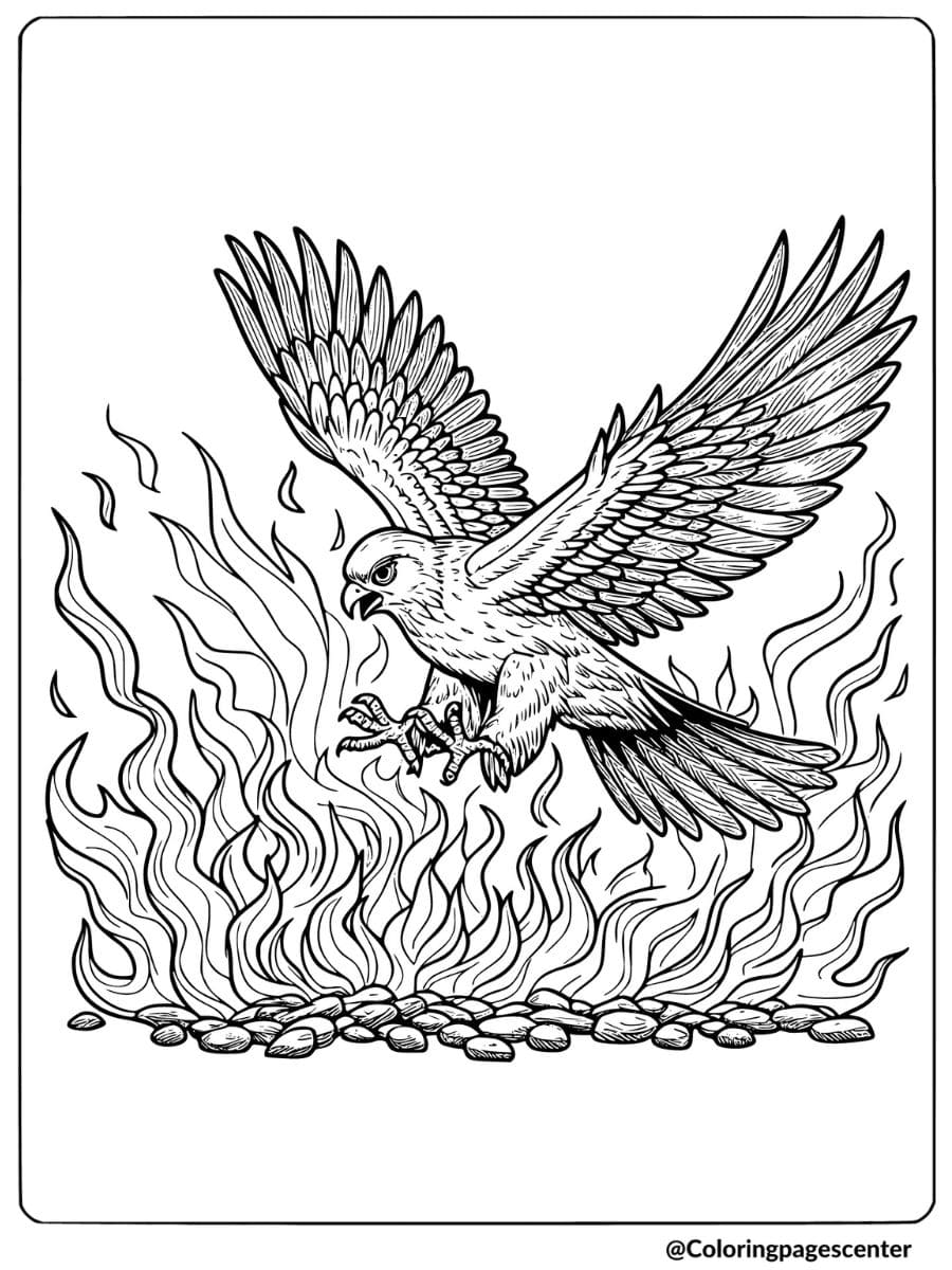 A falcon soaring over fire in a coloring page