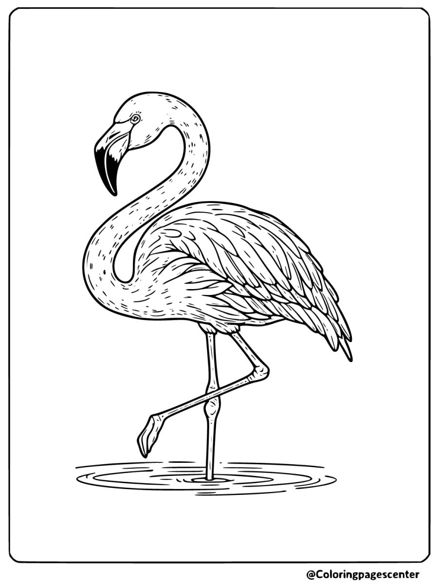 Flamingo standing on one leg in water coloring page