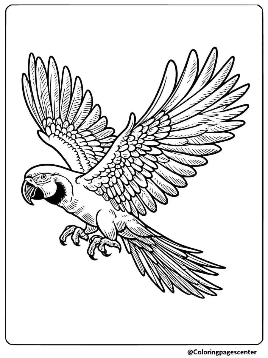 Detailed coloring page of a flying parrot