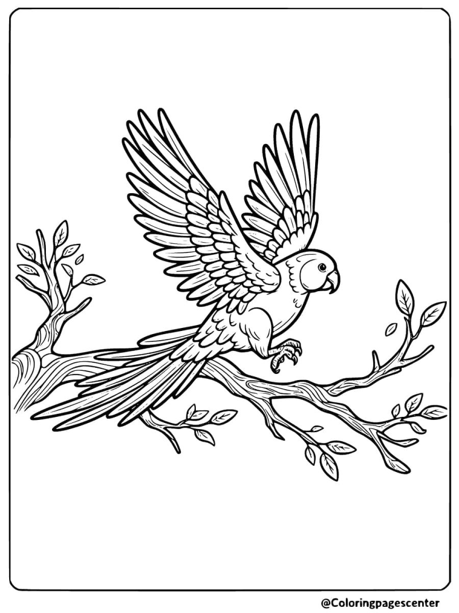 Flying parrot landing on a tree branch coloring page