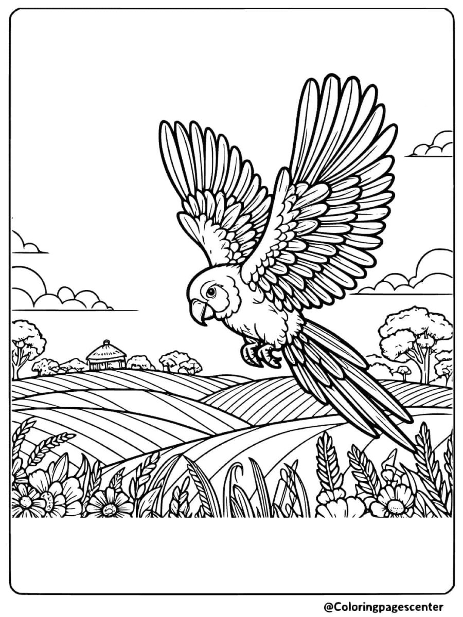 Coloring page of a flying parrot over a scenic farm