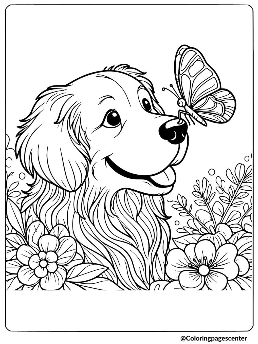 Golden retriever with a butterfly on nose coloring page