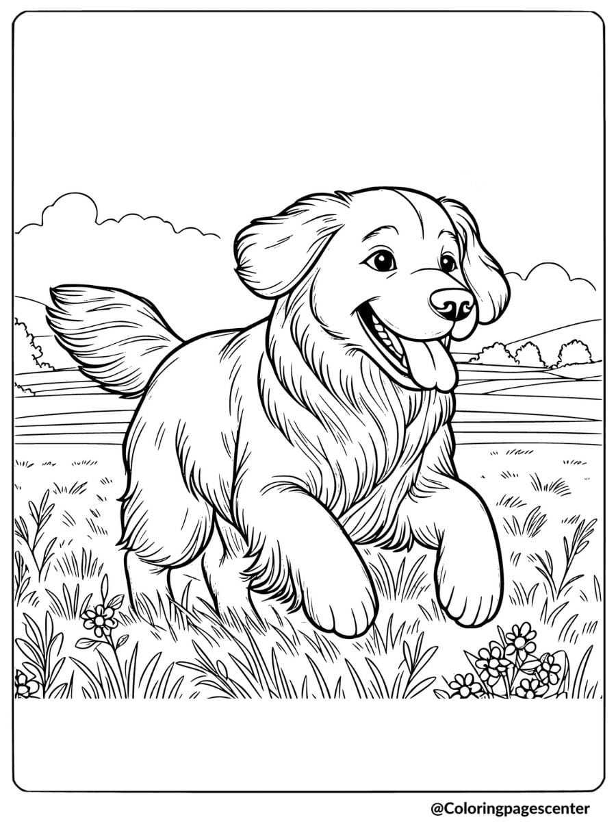 Golden retriever running in a field of flowers coloring page