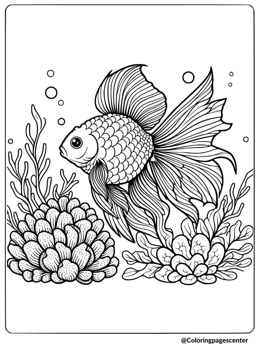 Detailed goldfish with coral and bubbles coloring page