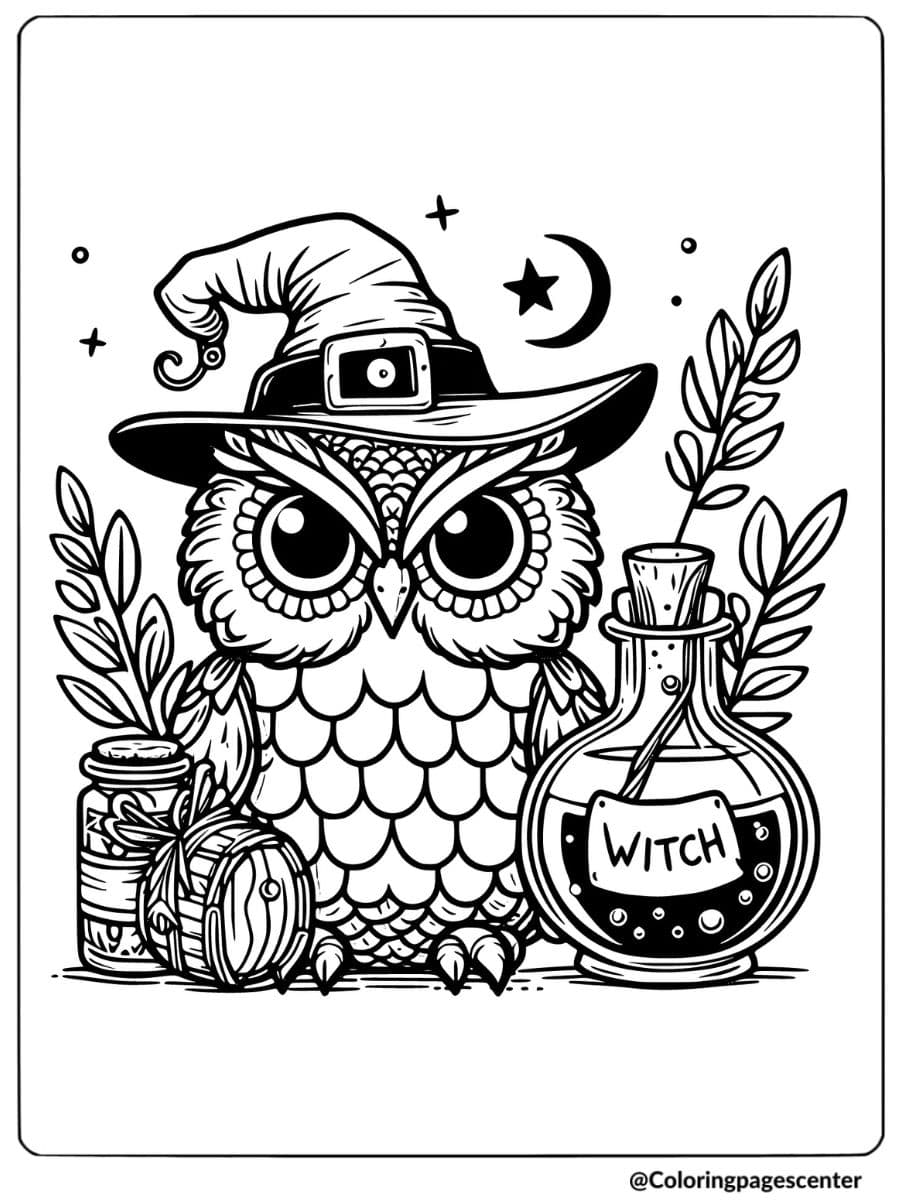 Halloween owl in witch hat with a potion bottle coloring page