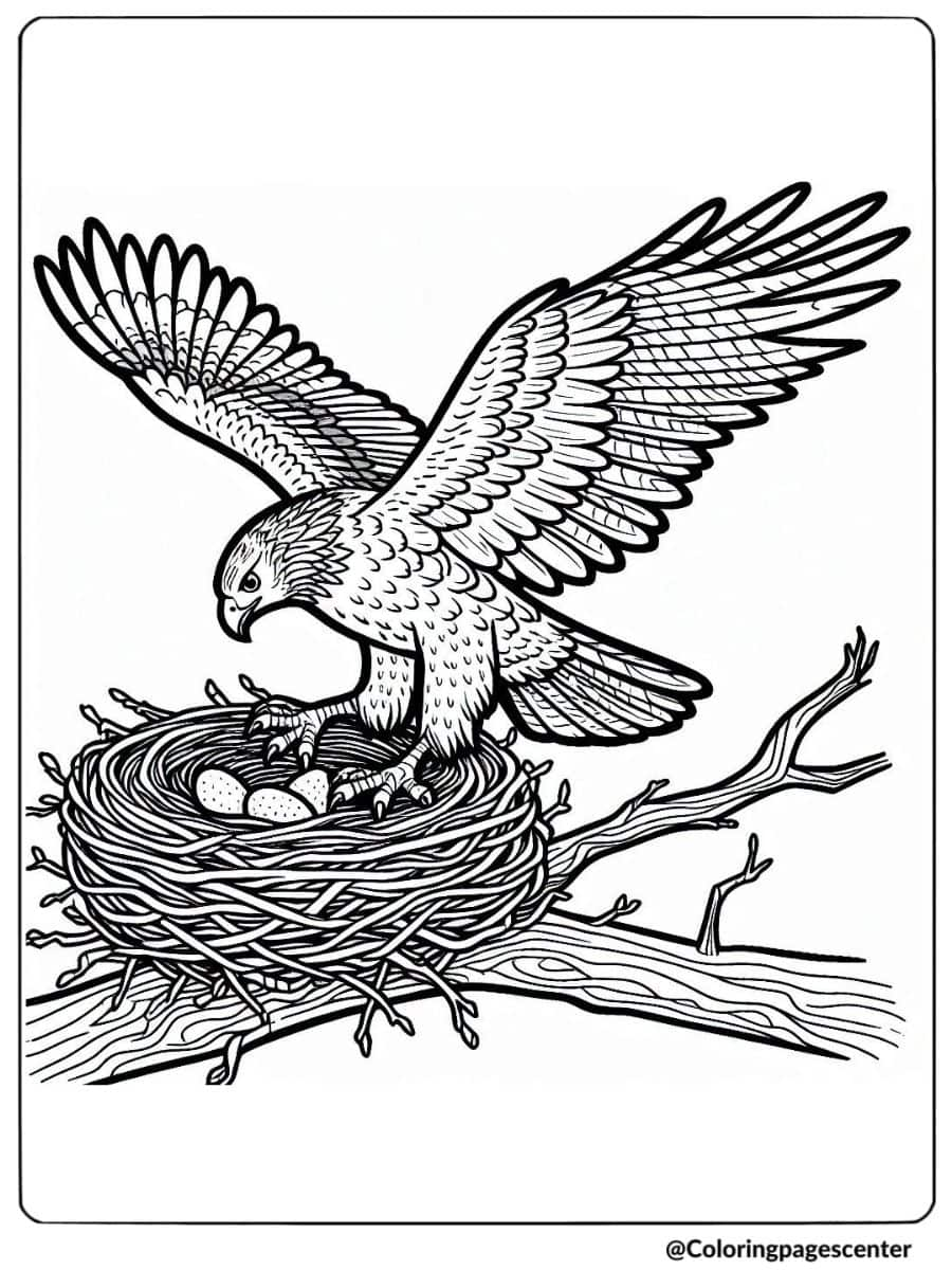 Hawk landing on nest with eggs coloring page