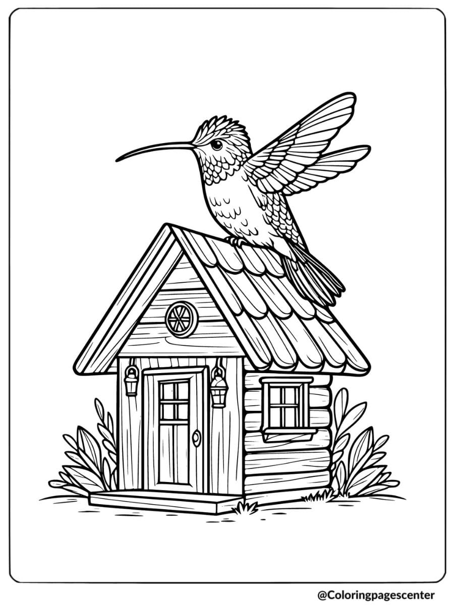 Hummingbird sitting on top of a house roof coloring page