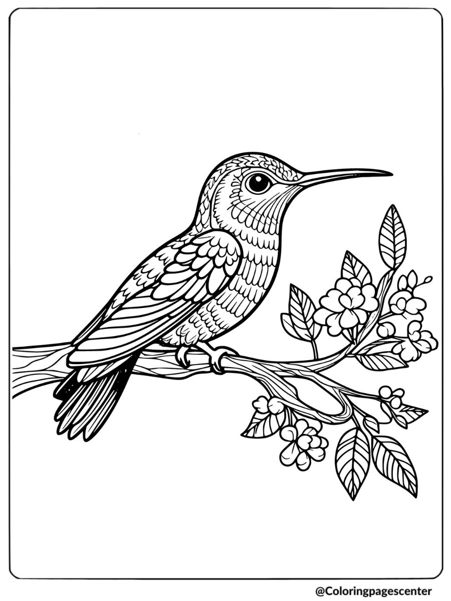 Hummingbird resting on a tree branch coloring page