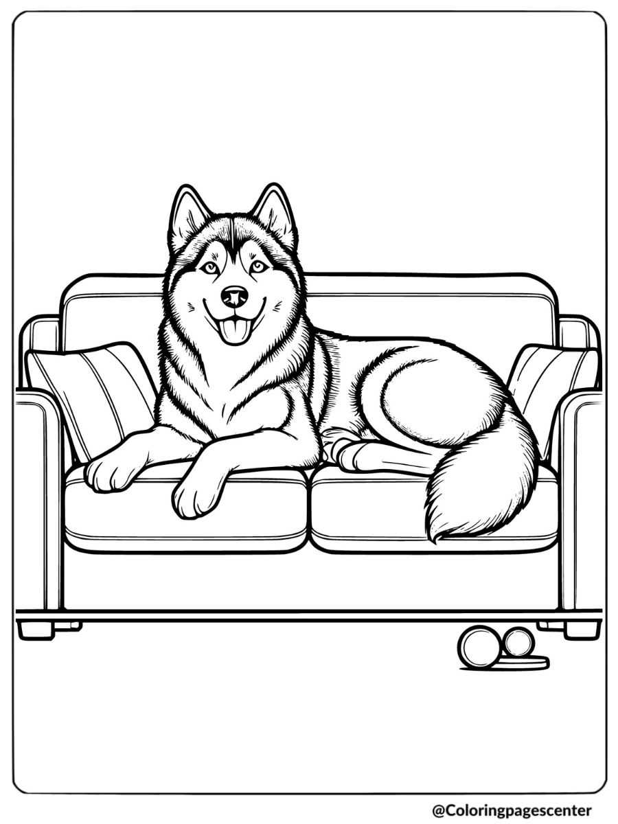 Husky resting on a sofa with playful expression coloring page