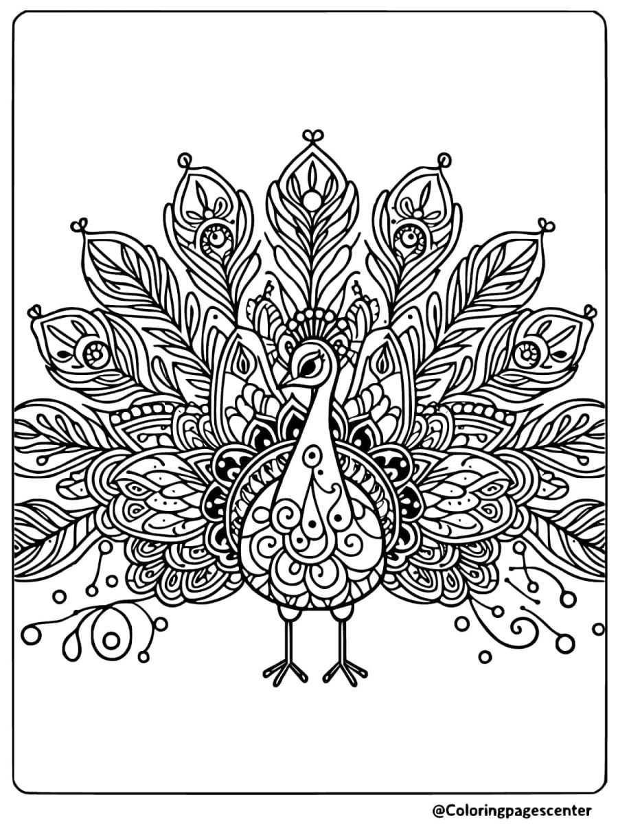 Peacock with intricate patterns coloring page