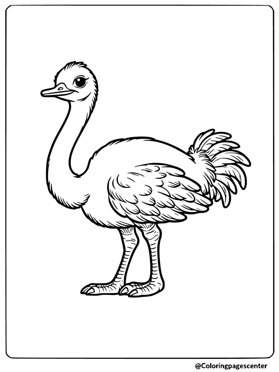 Standing Ostrich with detailed feathers coloring page