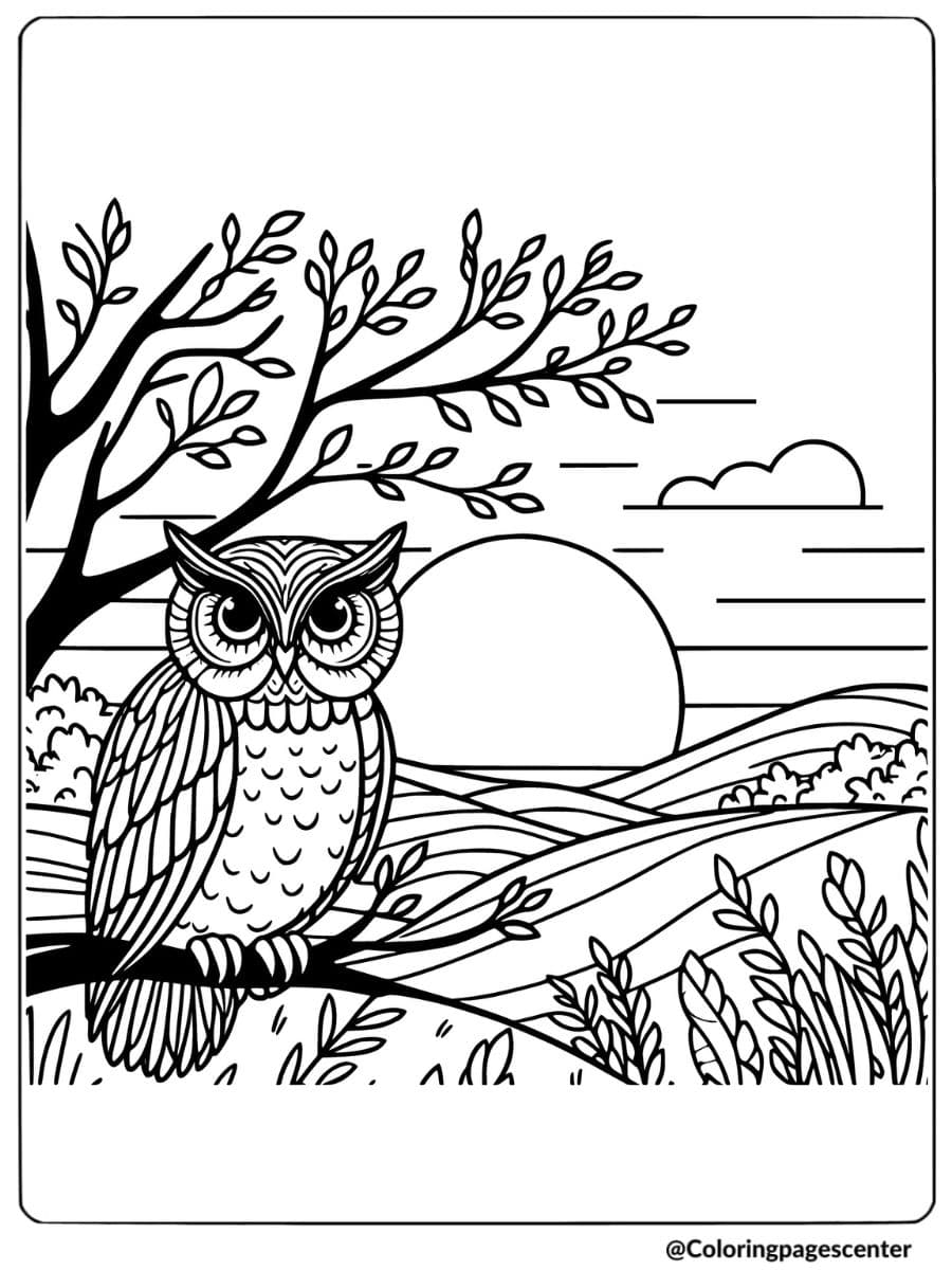 Owl sitting on a tree branch at sunset coloring page