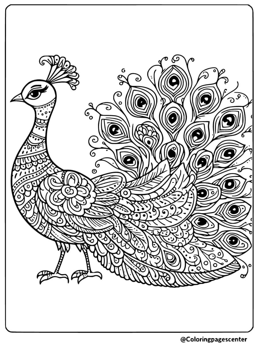 Intricate peacock design coloring page