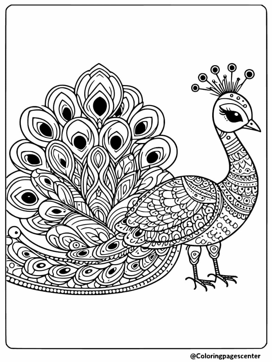 Peacock with bold tail feathers coloring page