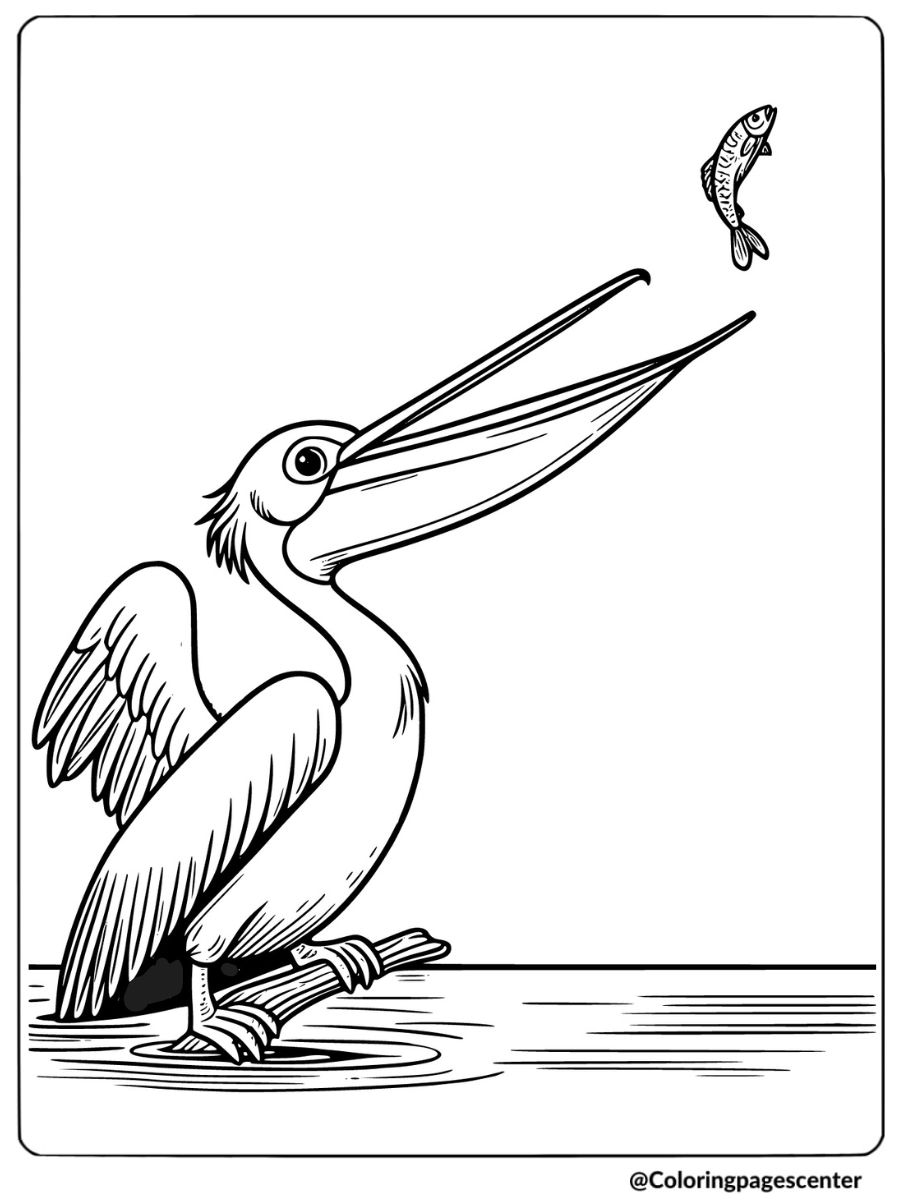 A pelican catching a fish coloring page