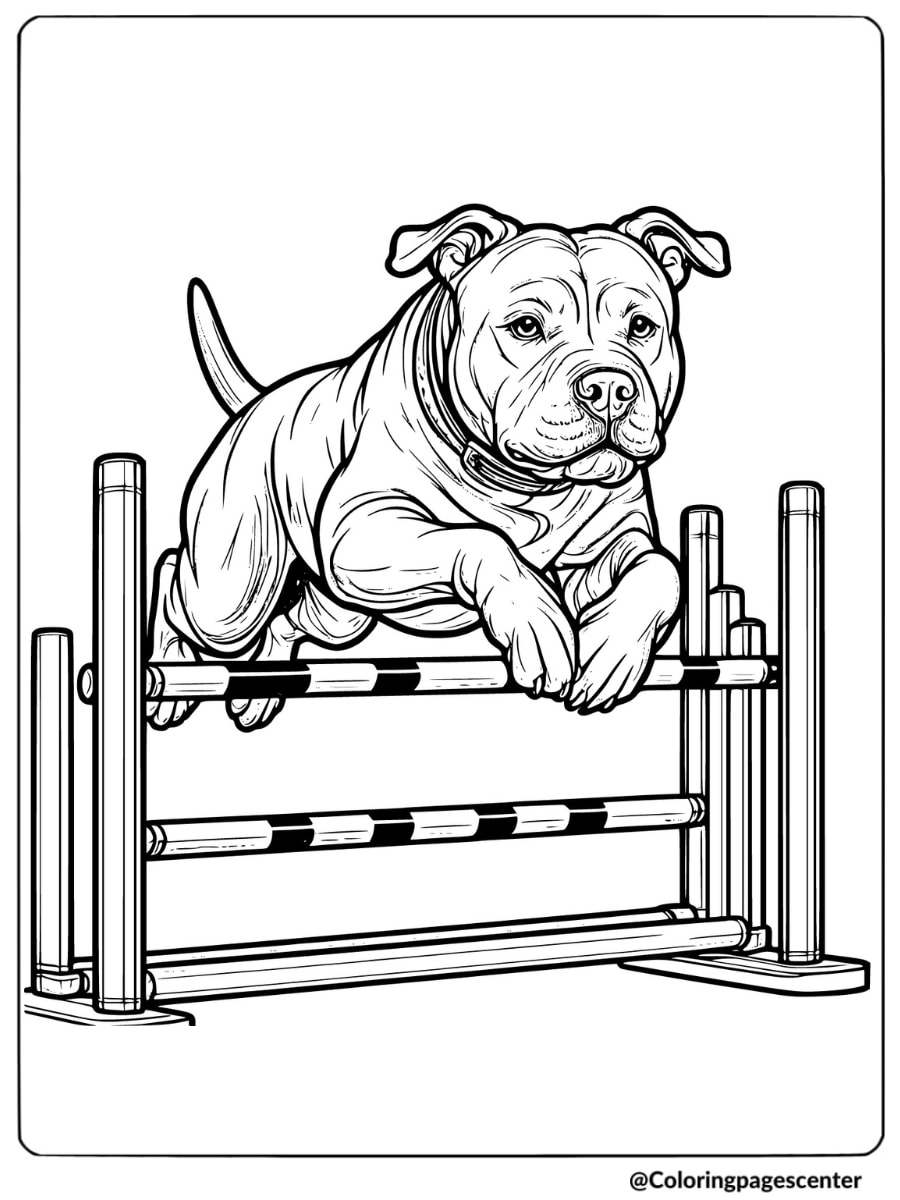 Pitbull leaping over hurdle coloring page