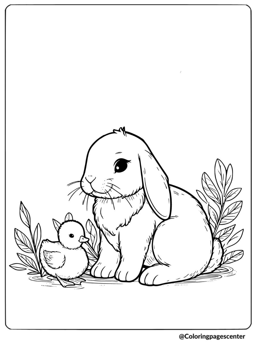 Cute bunny sitting with a duck in nature coloring page