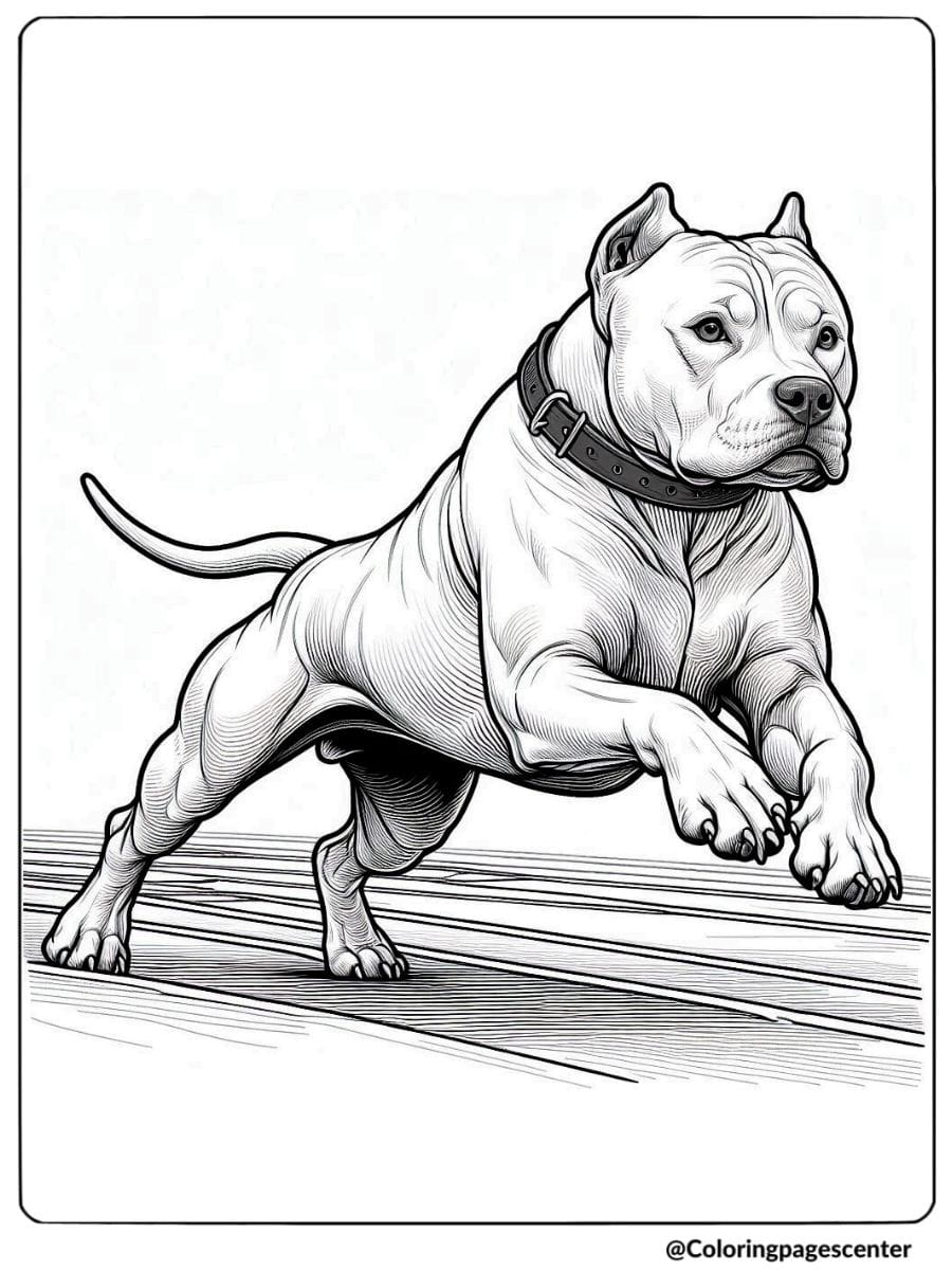 Realistic dog coloring page of a muscular Pit Bull in mid-jump