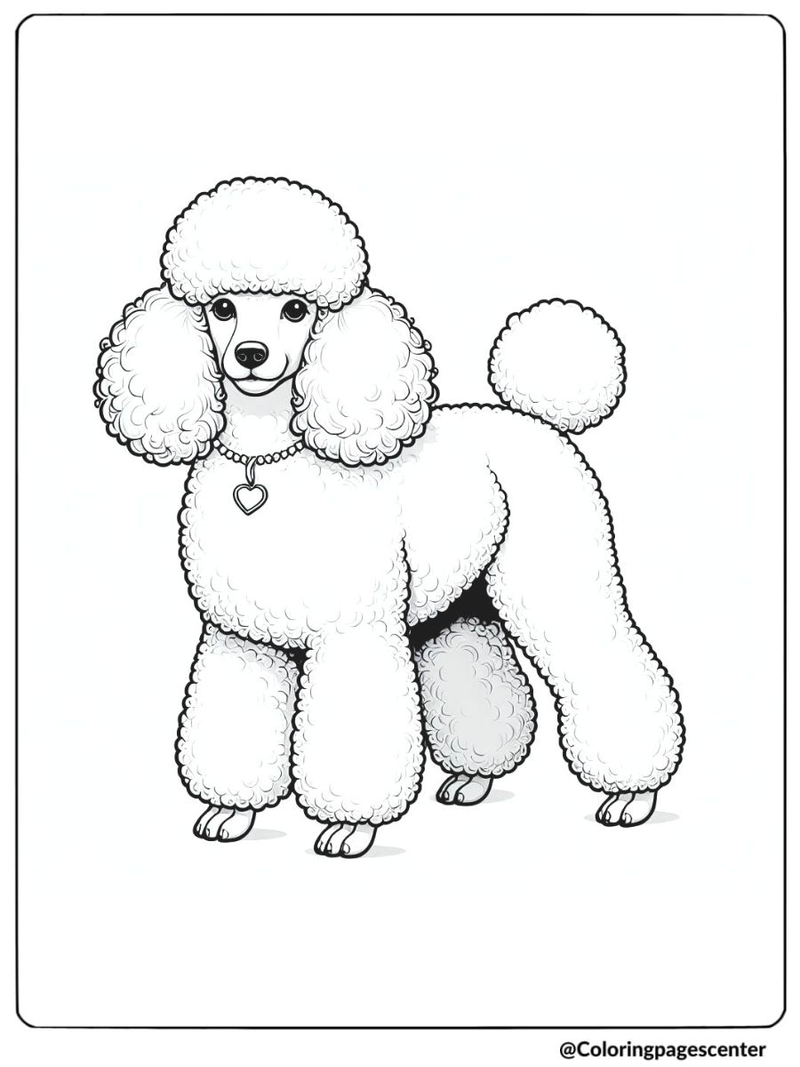 Realistic dog coloring page featuring a fluffy Poodle standing