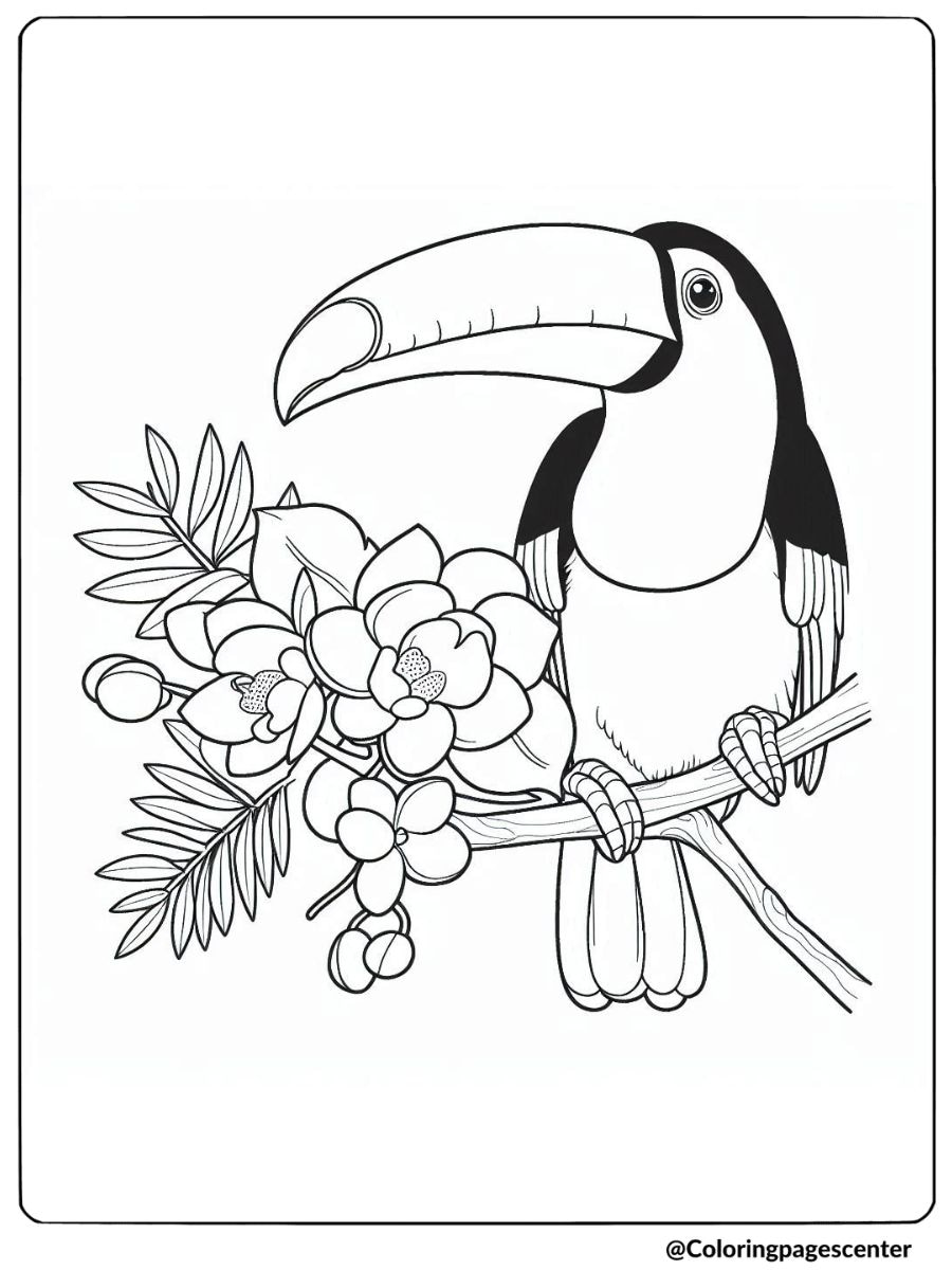 Toucan perched on branch with flowers coloring page