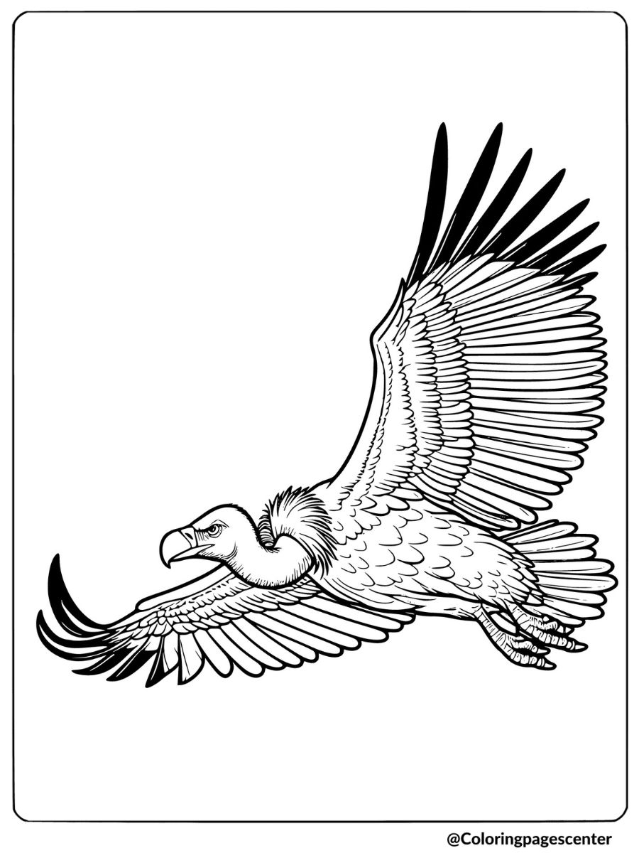 Vulture flying with wings spread coloring page