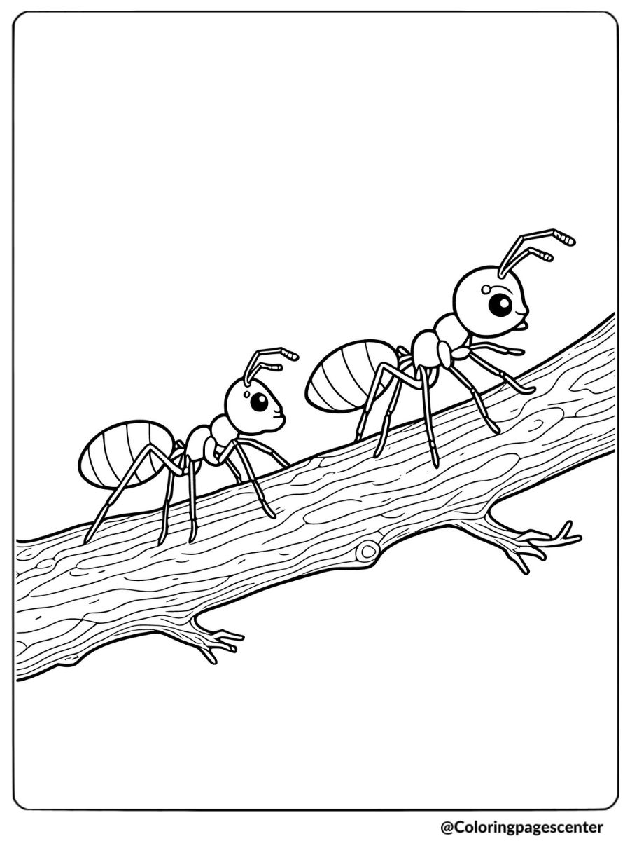 Ants walking on a tree branch coloring page