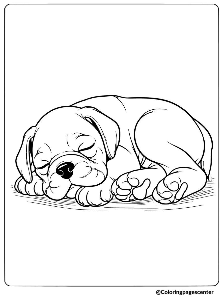 Boxer puppy peacefully sleeping coloring page