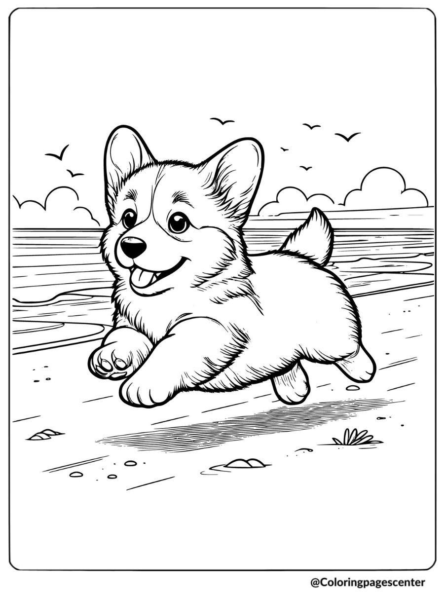 Corgi puppy sprinting on the beach coloring page