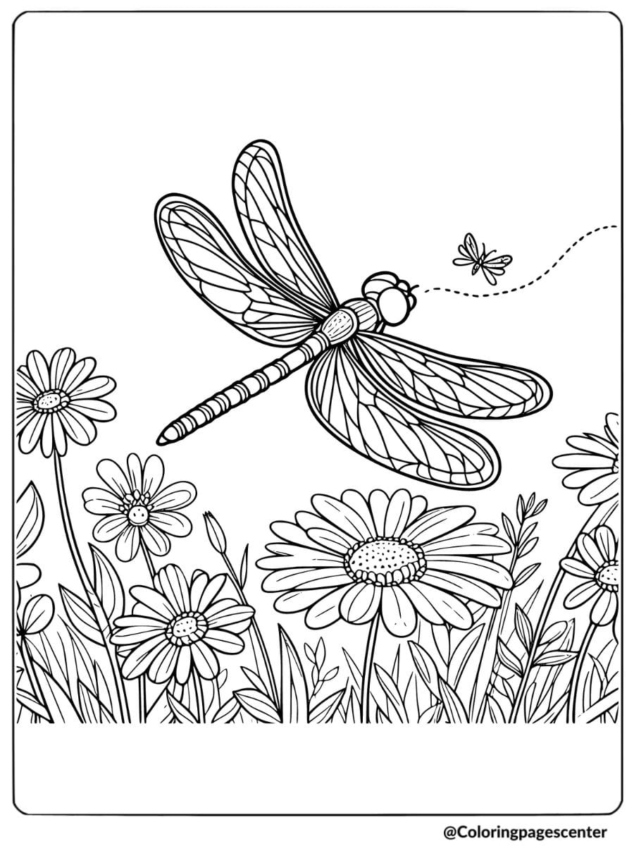 Coloring page of a dragonfly flying above daisies