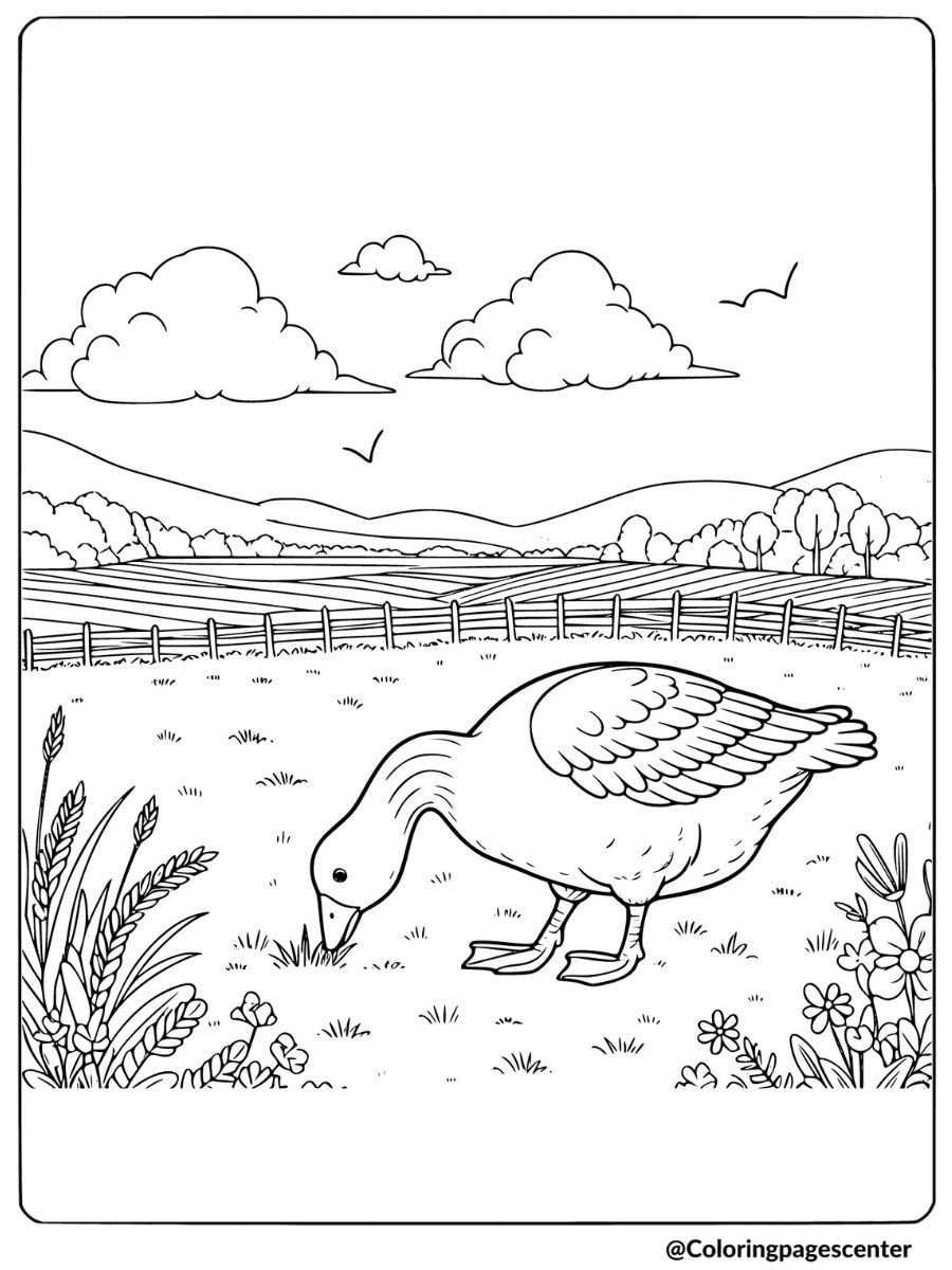 Goose eating in meadow coloring page