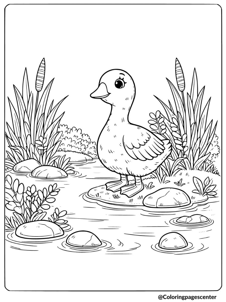 Goose in stream coloring page