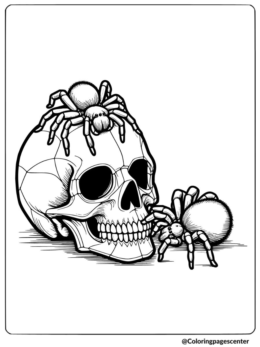 Halloween spiders on top of a skull coloring page