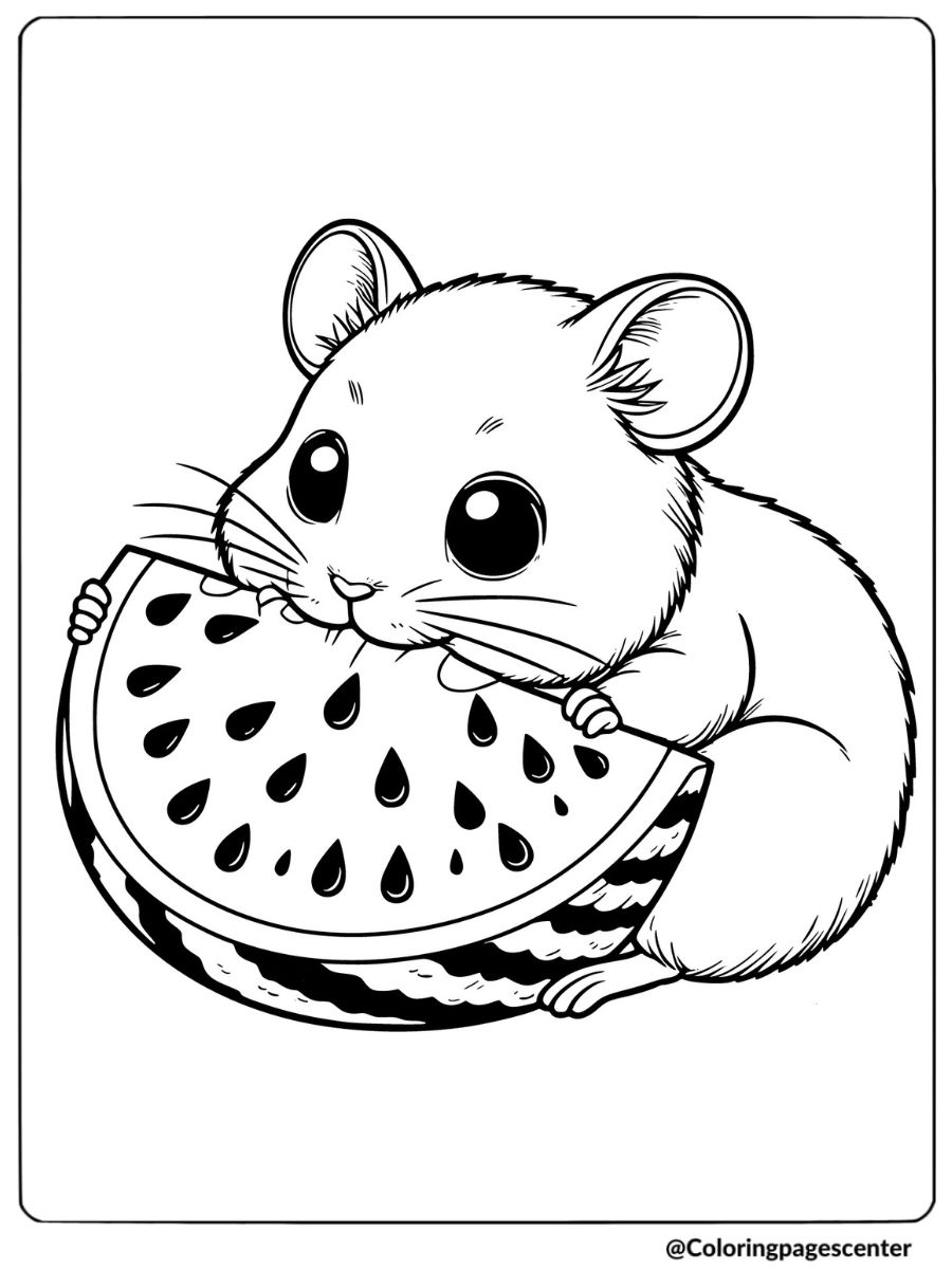 Hamster nibbling on a big watermelon slice coloring page