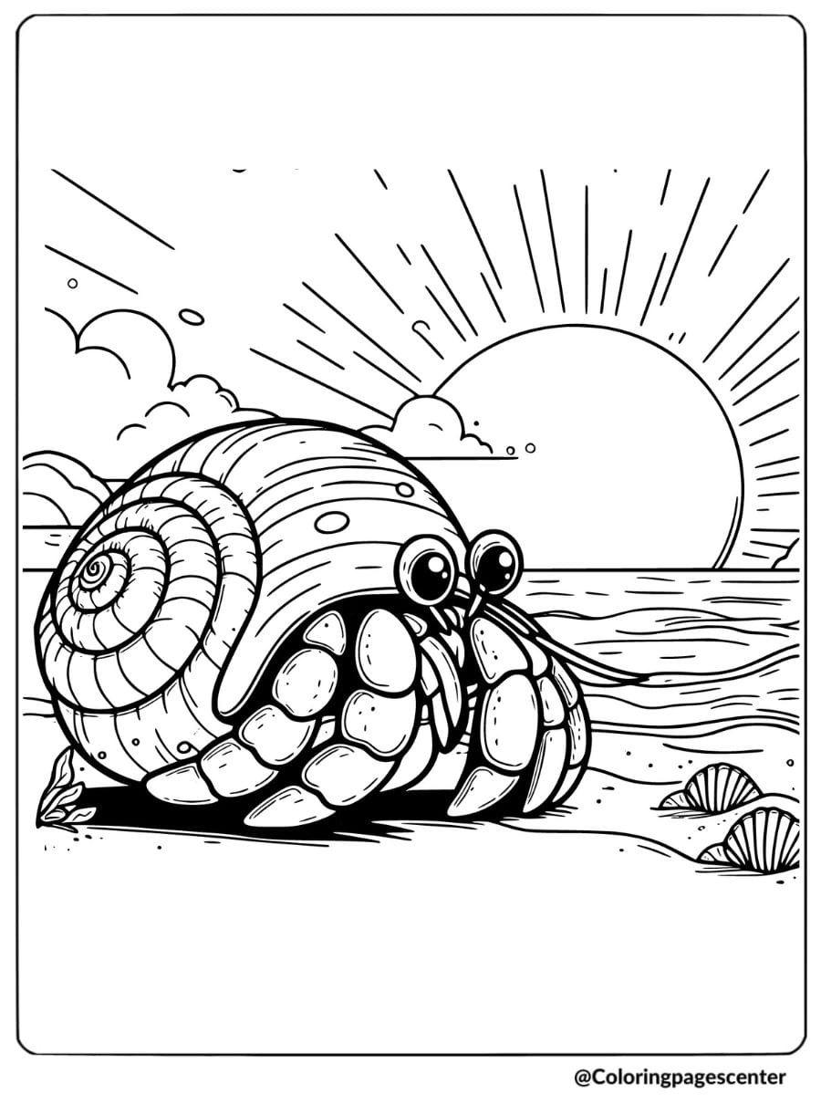 Coloring page of a hermit crab enjoying the sunset