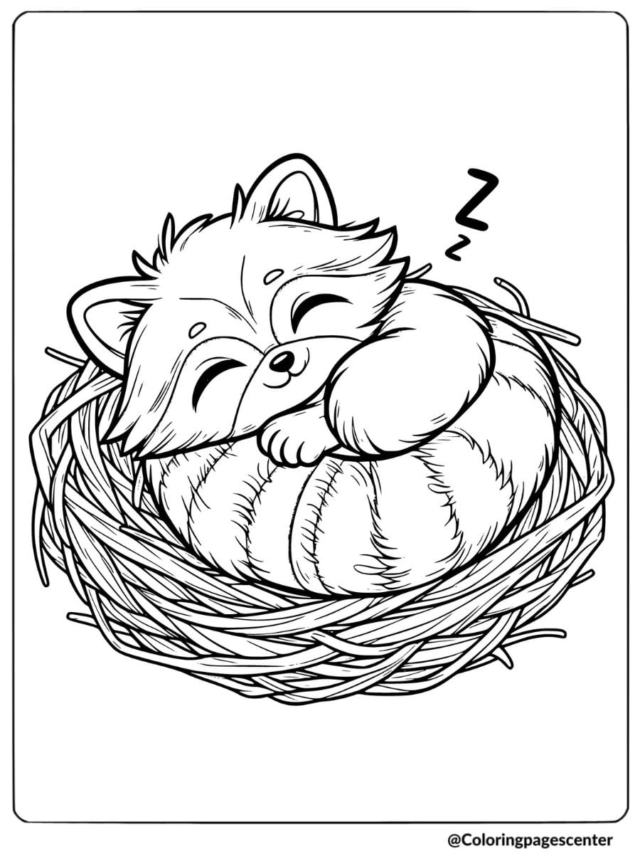 Coloring page of a raccoon sleeping in a cozy nest