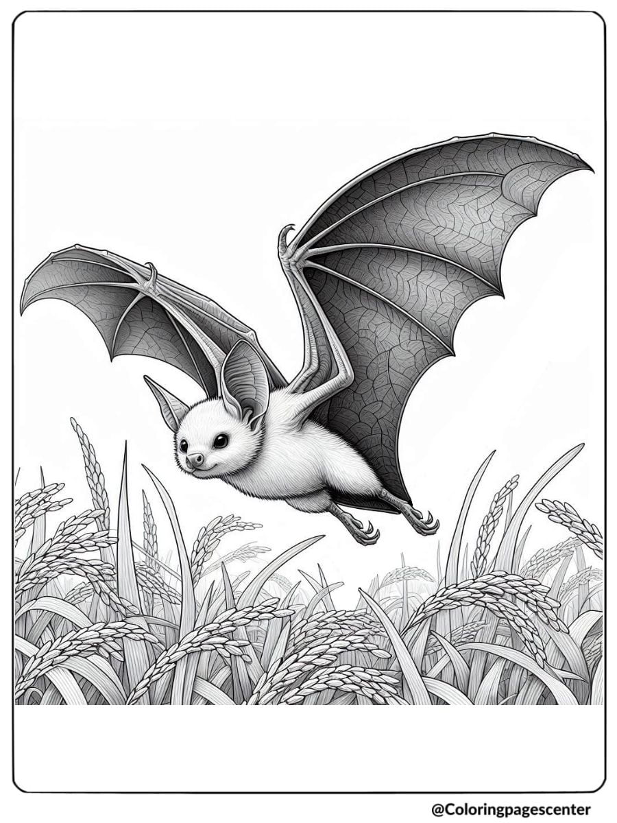 A realistic bat gliding above a rice field in coloring page