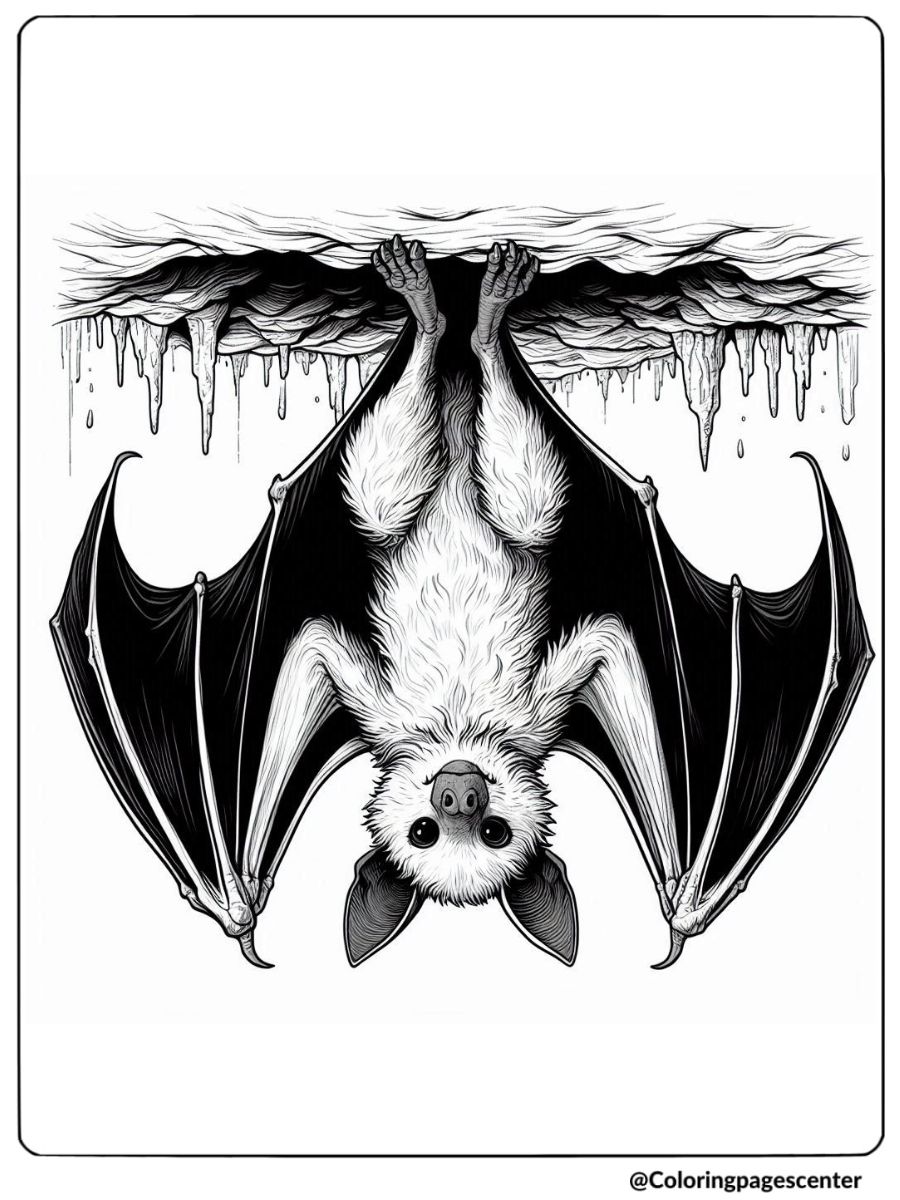 A realistic bat hanging from cave roof coloring page