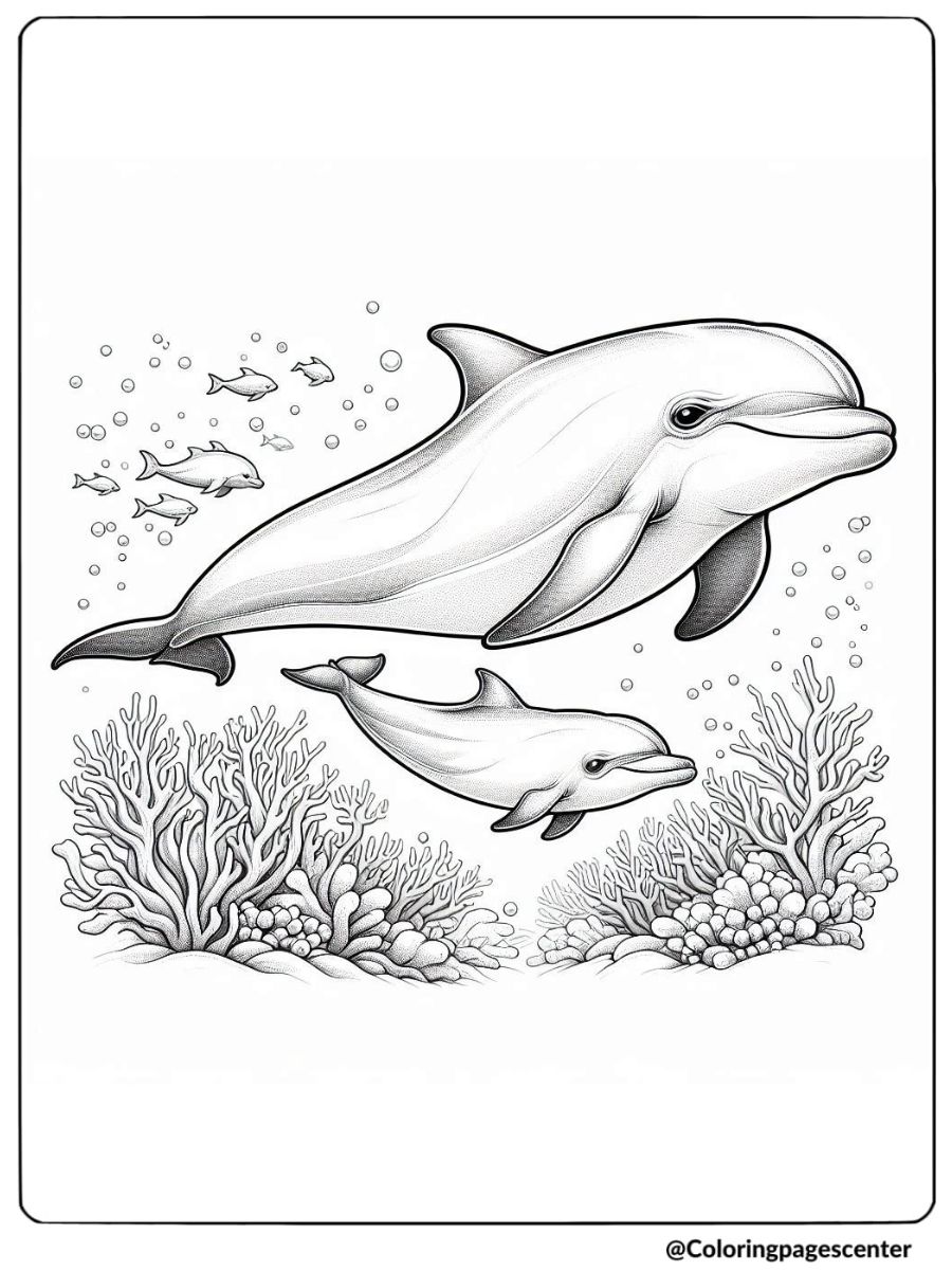 Dolphin family swimming near coral reef coloring page