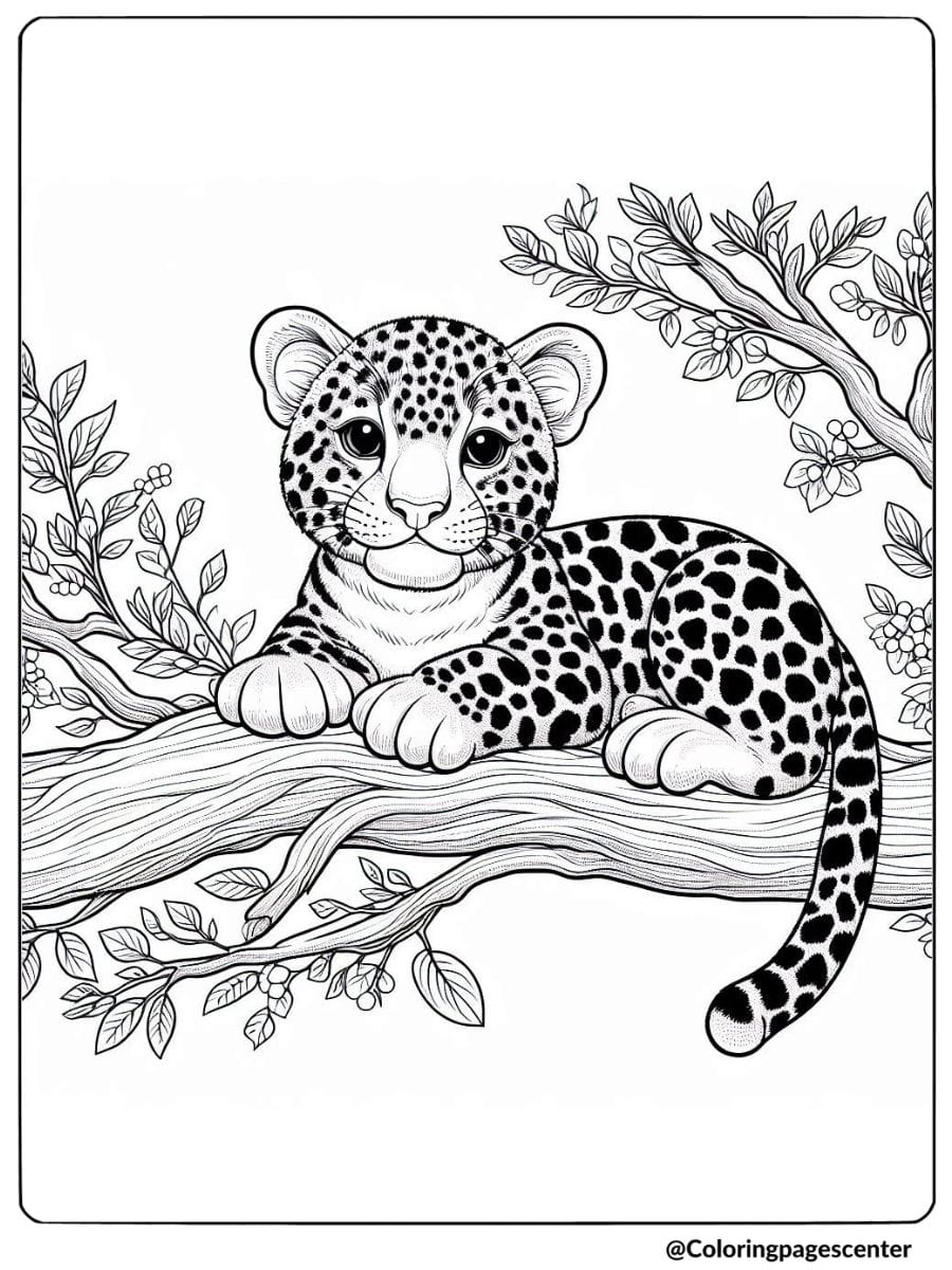 Coloring page of a realistic leopard cub resting on branch