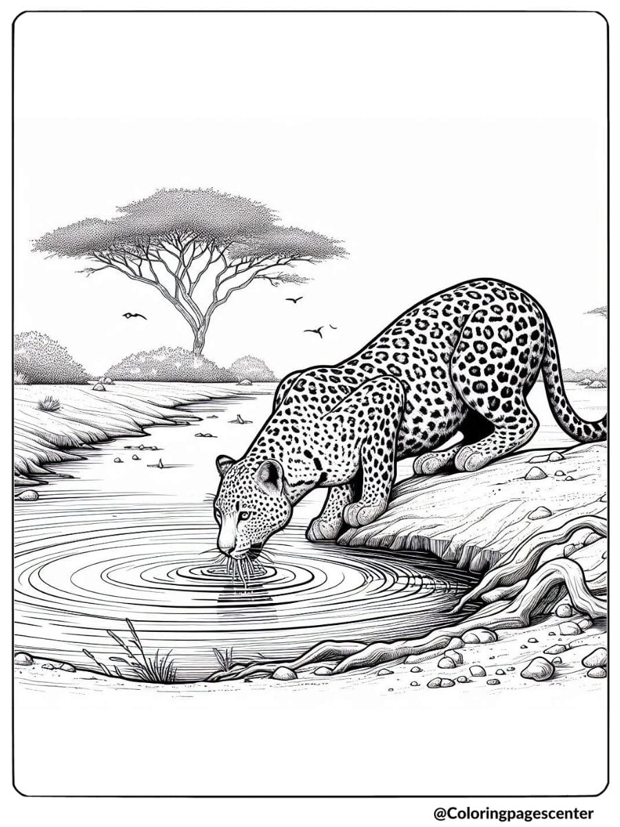 Realistic leopard drinking from waterhole coloring page