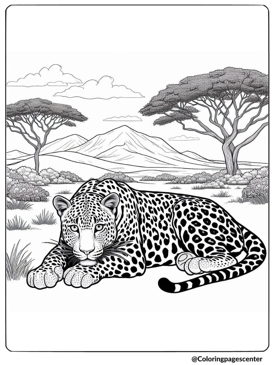 Coloring page of a realistic leopard resting on grasslands