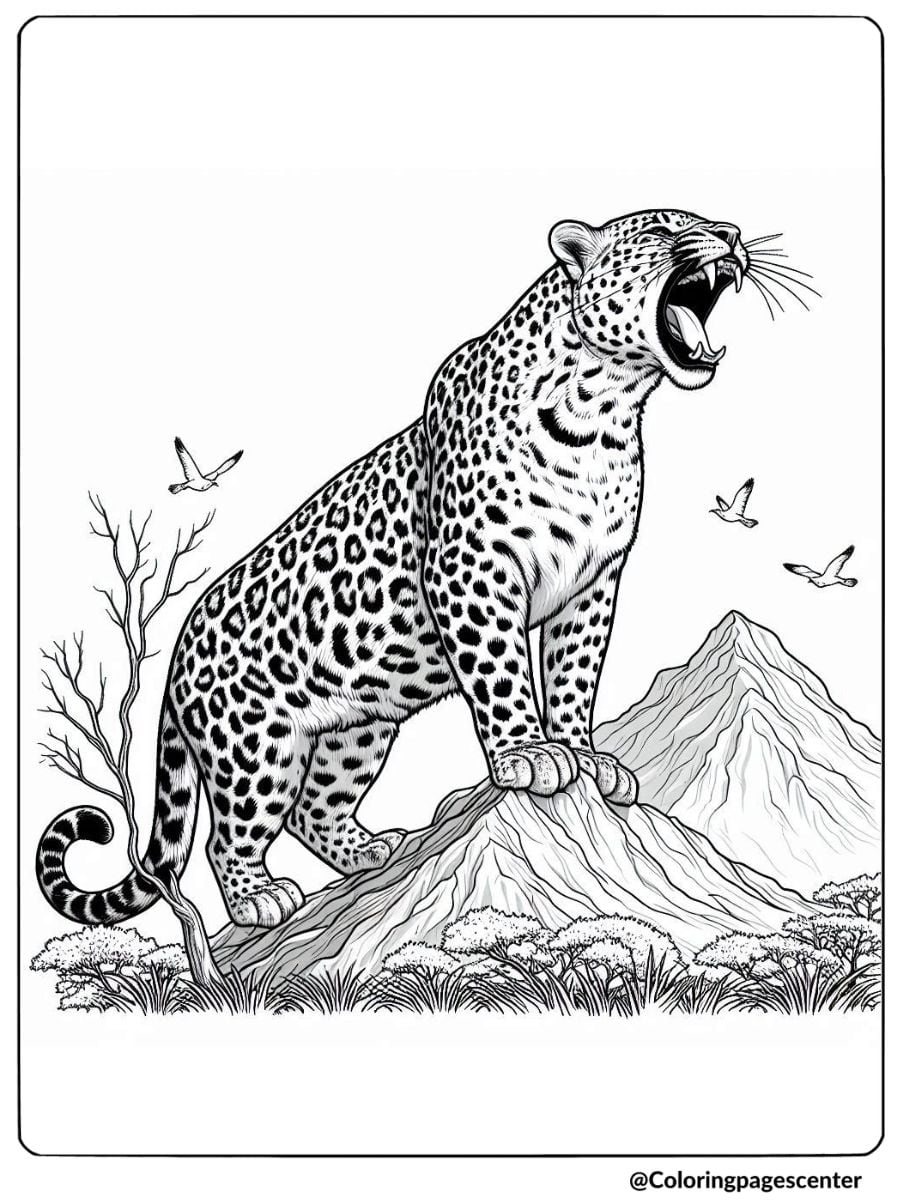 Coloring page of a realistic leopard roaring on a mountain